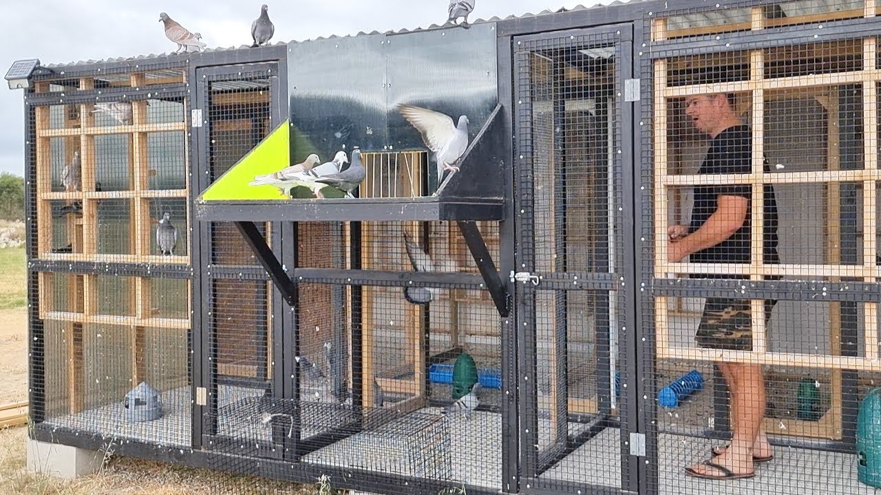 Flying A Bigger Pigeon Flock