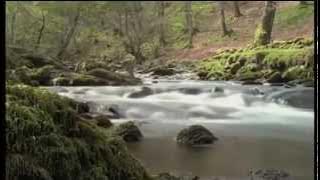 Atelitas Way - Undivided (Video By Jimmie Vaden)