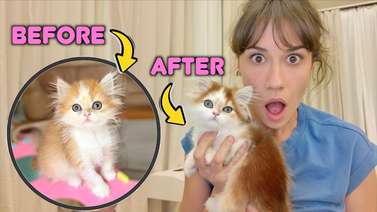 MY CAT IS CHANGING COLOR!