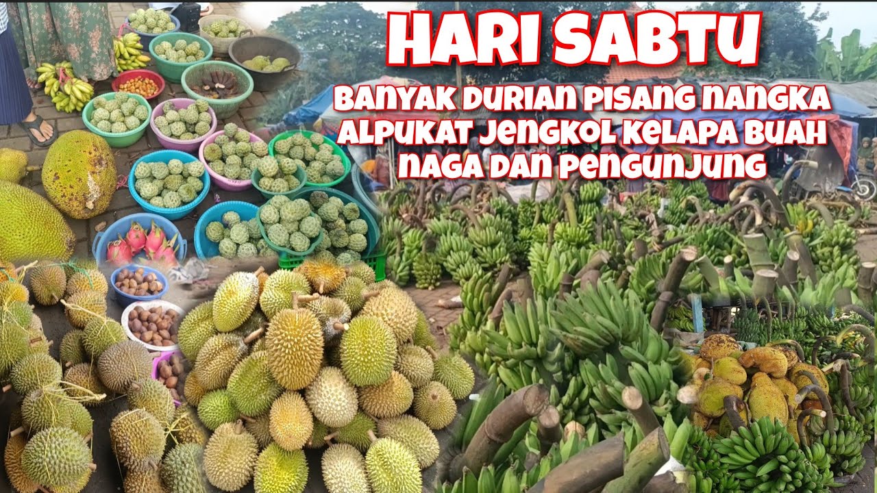 HARI SABTU SURVE HARGA DURIAN NANGKA PISANG PETE ALPUKAT SRIKAYA KELAPA JENGKOL DI PASAR PASREPAN 