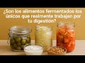 ¿Tu microbioma se alegra más por un yogur que por tus supuestos “superalimentos”?