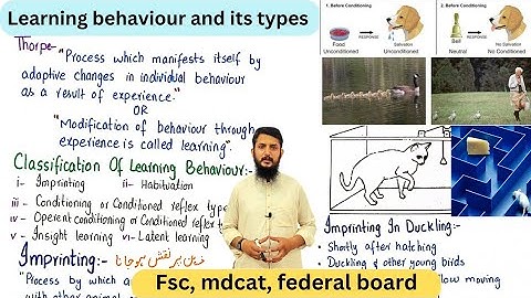 Learning behaviour | learning behaviour and its types | class 12