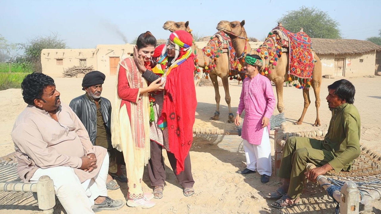 Numerdar Daar Rishta  Funny Video 2025 | Saraiki Comedy Drama | Punjabi Clips Dadi 420 Helmet Rocket