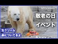 【敬老の日イベント】ホテルシェフ特製ケーキを食べるホッキョクグマ「デナリ」Special cake was presented to the polar bear
