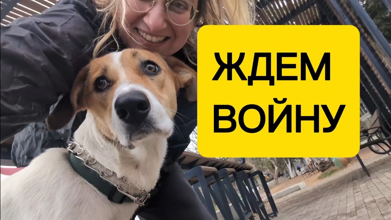 ВОЙНА КАК ОБЛЕГЧЕНИЕ: Иран, 70 интервью и почему тело не врет