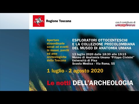 Video: Musei archeologici e antropologici (Museo Arqueologico y Antropologico) descrizione e foto - Cile: Arica