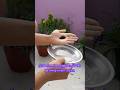 🌱Collecting Dianthus🌸 seeds | How to Grow Dianthus Flowers from seeds #ytshorts #garden #flowers