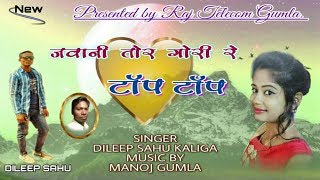 जवानी तोर गोरी रे दिसे टाॅप टाॅप ?DILEEP SAHU KALIGA ?Theth Nagpuri dhamaka song mp3.