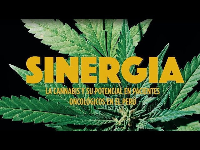 Sinergia: la cannabis y su potencial en pacientes oncológicos en Perú (Trailer)