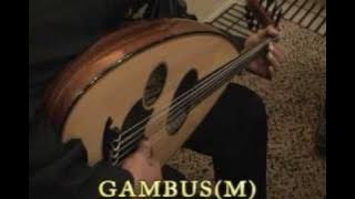 MALAYSIA, GAMBUS