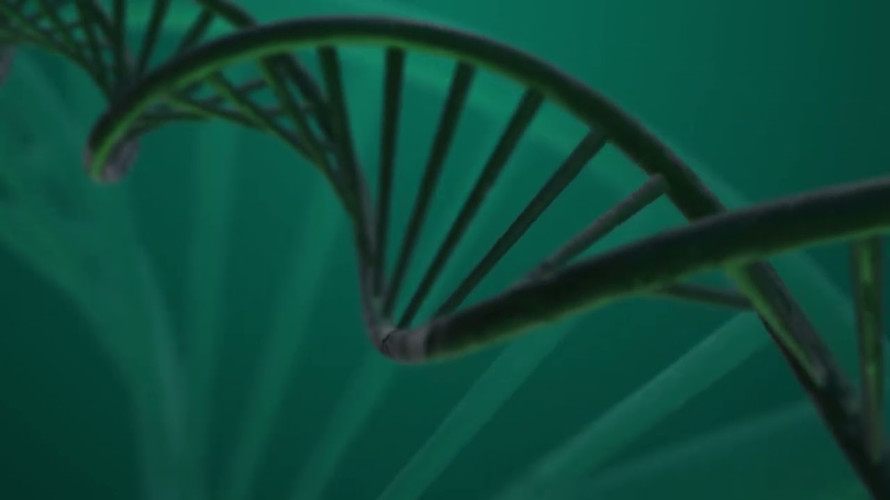 Amiclear For Diabetes: Exploring Its Mechanism Of Action And Benefits