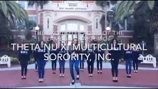 Celebrity FSU Lambda Chapter of Theta Nu Xi Net Worth