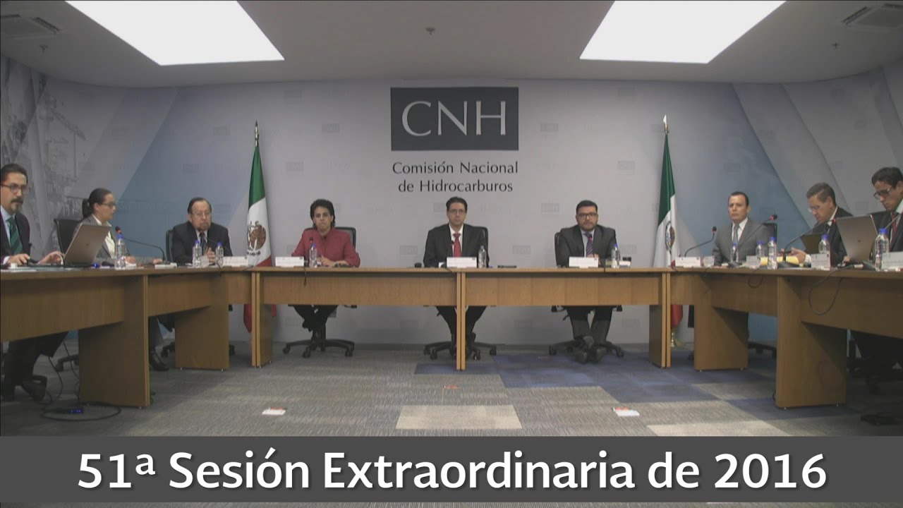 Resumen 51ª Sesión Extraordinaria 2016 cnhl
