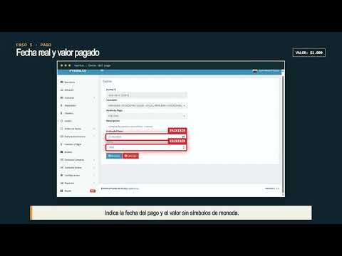 Vista previa: Registrar gastos