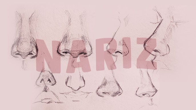 sajapxlr Profiles  Desenho de lábios, Como desenhar um nariz, Como  desenhar labios