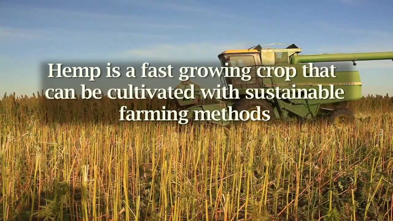 Hemp History Week 2012