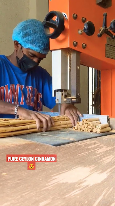 Download lagu PURE CEYLON CINNAMON for cut c4 😛😛