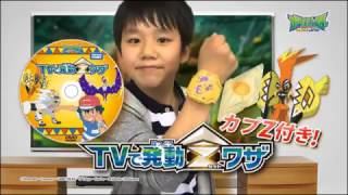 ポケモン　やるぞゼンリョク！TVで発動Zワザ