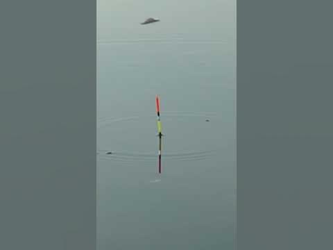 🐬 Волшебная Осень 🐳 #Рыбалка #Рыба #Природа #Снасти #Лето #Лодка # ...