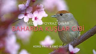 Baharda Kuşlar Gibi “Midi By Poyraz Çinar” Karaoke