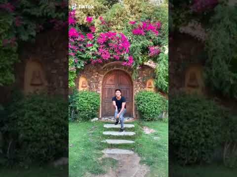 يلا كله بره يا صحبه ضاله