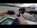 Vlog Perdana Angler Pemula - Mancing UL casting karang dangkal Manado