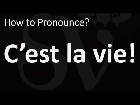 C Est La Vie What Does It Mean