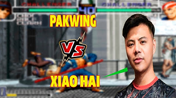 Pakwing 长颈鹿 VS Xiao Hai (小孩)