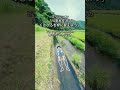 100人に1人の反射神経