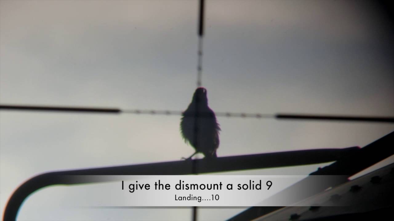 Starling Control Part 2