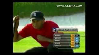 Tiger Woods - Greatest Putts / Short game shots [2014]