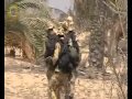 EGYPTIAN SEAL 5 فرقة السيل المصرية 5