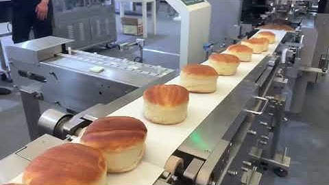 Bread automatic horizontal flow packing machine (box-motion type)