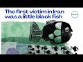 The First Victim Was a Black Fish? | A Conversation about IRAN with Ali and Sourosh | VIRTUS