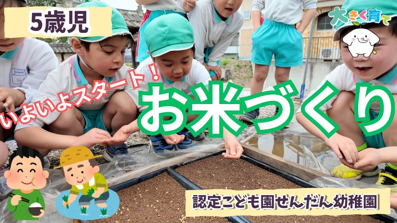 【5歳児】いよいよスタート！お米づくり（種まき編） | 認定こども園せんだん幼稚園 - YouTube