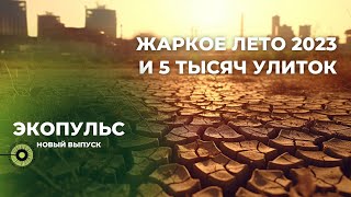 Экопульс. Дайджест экологических новостей. Выпуск 3