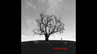 Warriyo - Mortals ( feat. Laura Brehm ) I Future Trap | NCS - Copyright Free Music