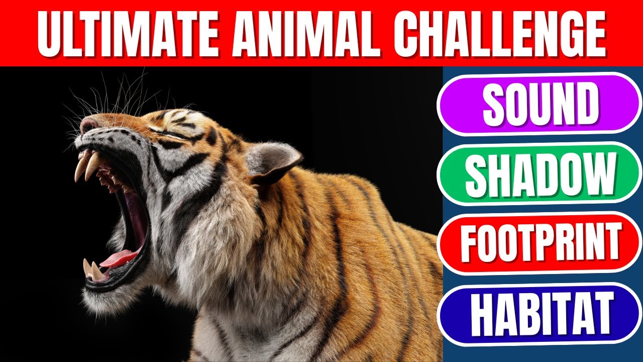 Викторина о животных: звуки, тени, следы и места обитания