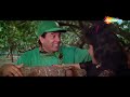 Main jat yamla  farishtay  dharmendra jaya prada  mohammad rafi  popular 90s hindi song