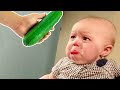 1001 reations of funny babies scared of everything  fails boss