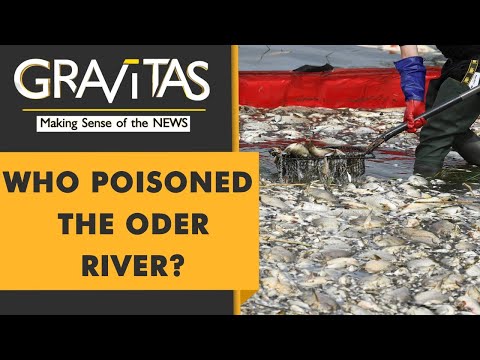Gravitas: 100 tonnes of dead fish pulled out of Europe's Oder river