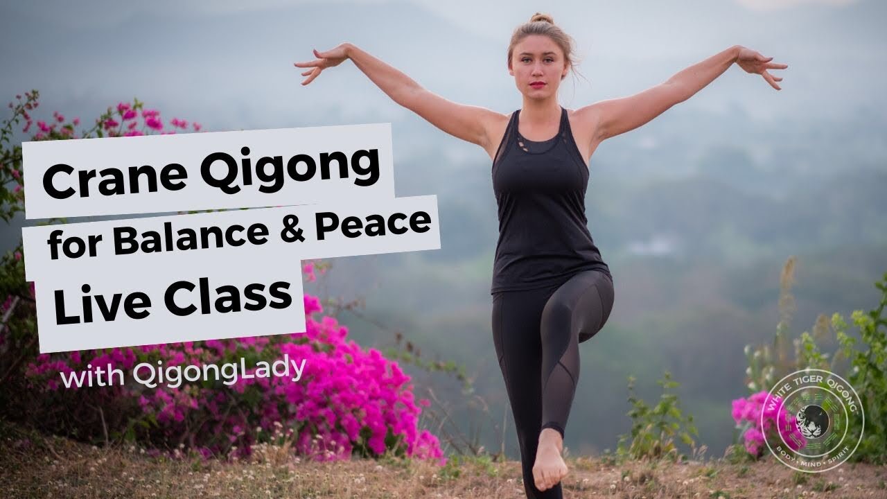 Qizlar bilan jinsiy aloqa hayvonlar erotik video