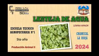 Lenteja de Agua-Chamical- Secundaria Técnica-FIENacional2024