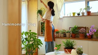 Decorating house with plants 🪴ㅣHome InteriorㅣTips for Indoor PlantsㅣMy first baking class & Cooking