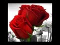 Cheb Amrou Chkoun Li Gal Mp4 Cheb Amrou Chkoun Li Gal Mp4