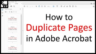 How to Duplicate Pages in Adobe Acrobat (PC & Mac)