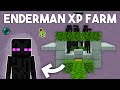 Enderman XP Farm in Minecraft Bedrock 1.20!