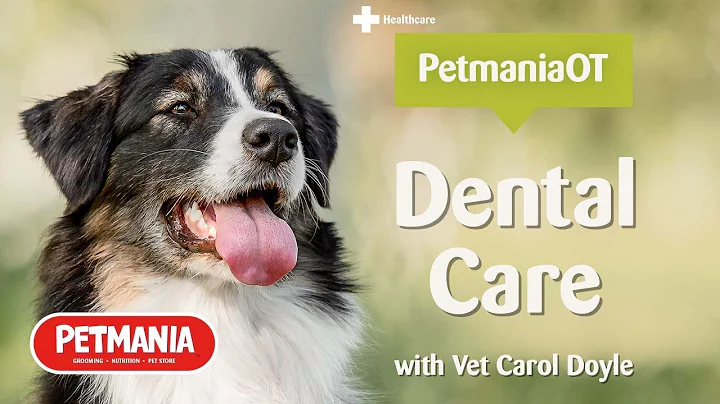 Dental Care for Dogs with Vet Carol Doyle for Oper...