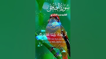 تلاوة خاشعة عطرة مباركة جميلة عذبة للشيخ سعد الغامدي سورة الضحى
