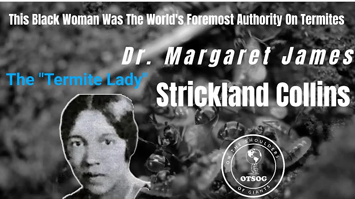 The World's Foremost Authority On Termites Was A B...